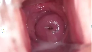 461 softcore porn videos